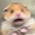 user_icon