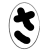 user_icon