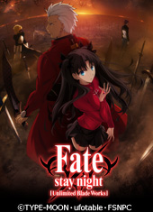 Fate/stay night